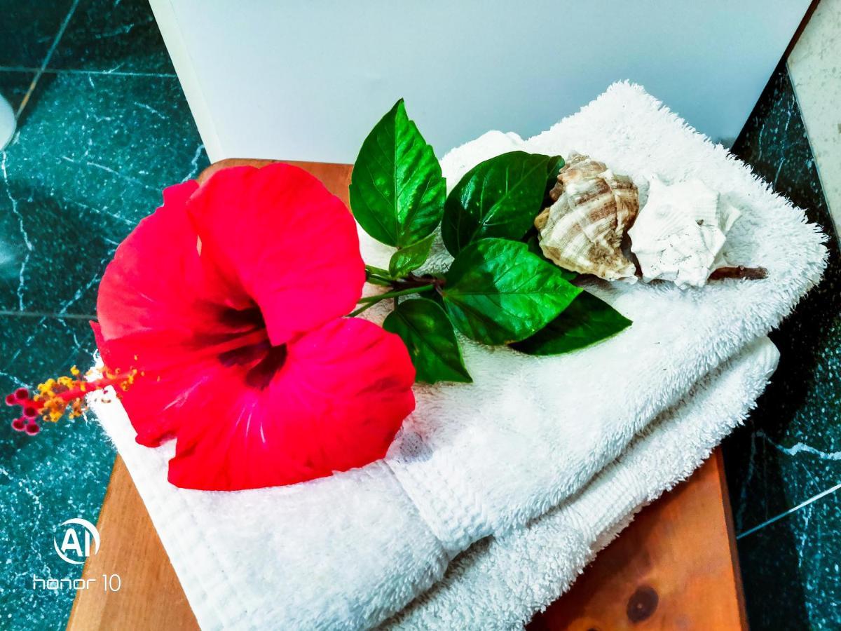 Residence Juniperus Costa Smeralda 외부 사진